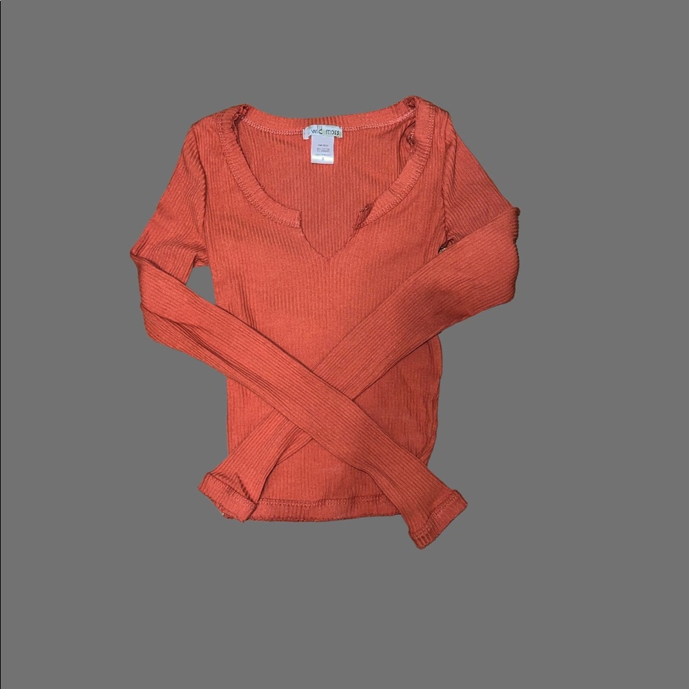 Rust long sleeve crop